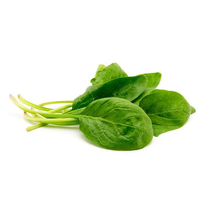 Spinach seeds - Vegetable Plant