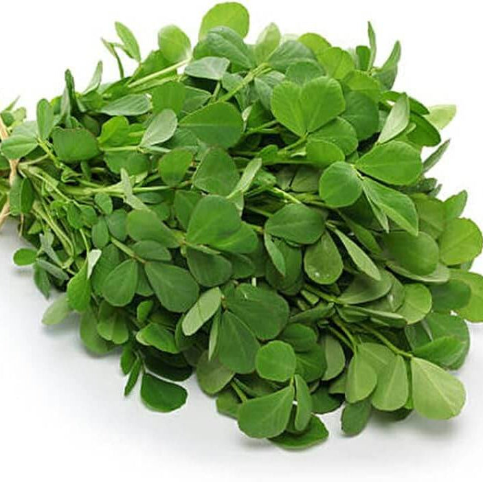 Sprouting Fenugreek Seeds  - Herbal Plant