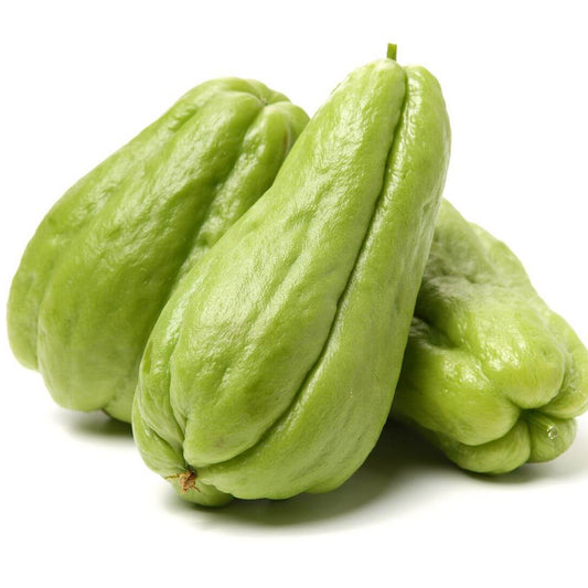 Squash Seeds - Vegetable Plant for Home Gardens