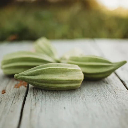 Star of David Okra Seeds 