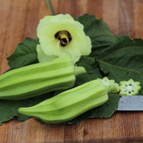 Star of David Okra Seeds 