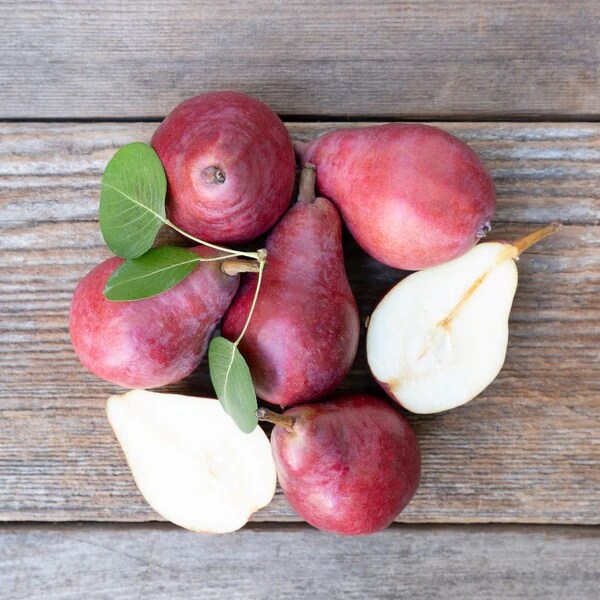 Starkrimson Pear Seeds