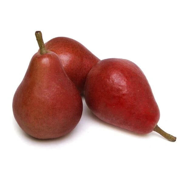 Starkrimson Pear Seeds