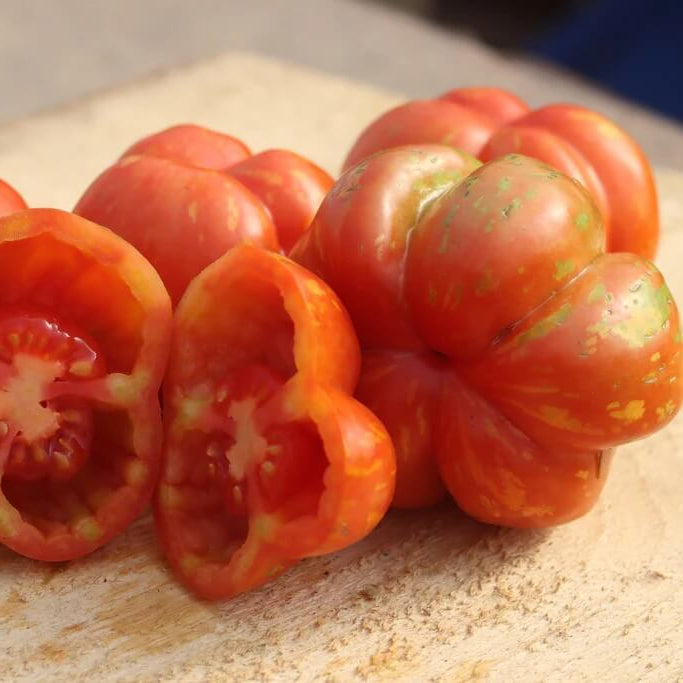 Striped Cavern Tomato Seeds