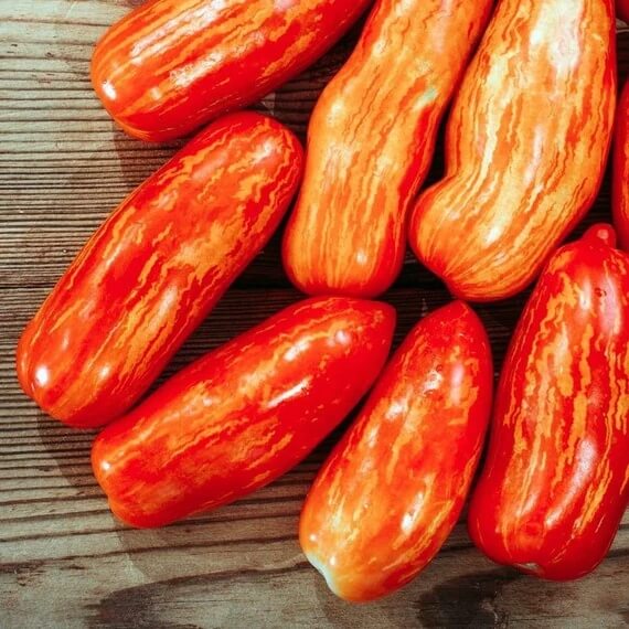 Stripey Tomato Seeds - Vegetable Plant