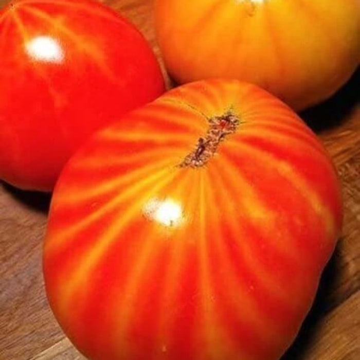 Stripey Tomato Seeds - Vegetable Plant