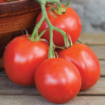 Stupice Tomato Seeds - Vegetable Plant