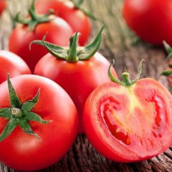 Sub Arctic Plenty Tomato Seeds - Vegetable Plant