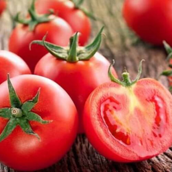 Sub Arctic Plenty Tomato Seeds - Vegetable Plant