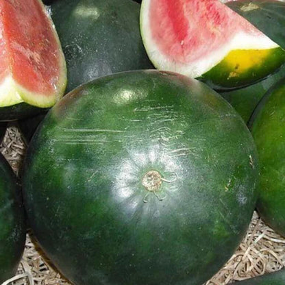 Sugar Baby Watermelon seeds