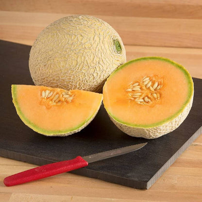Sugar Cube Cantaloupe Seeds - Fruit Plant