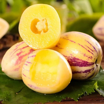 Sugar Gold Pepino Melon Seeds