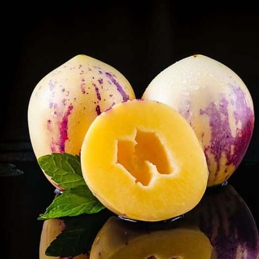Sugar Gold Pepino Melon Seeds