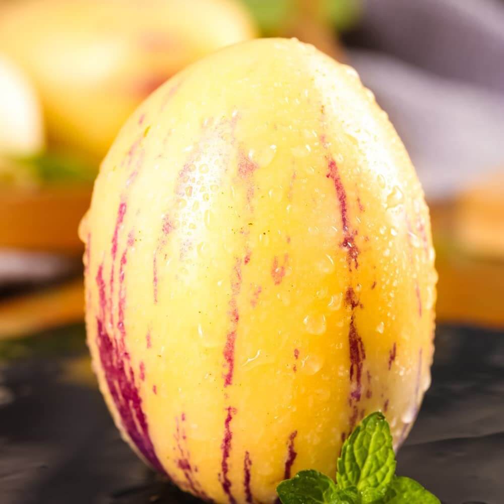 Sugar Gold Pepino Melon Seeds