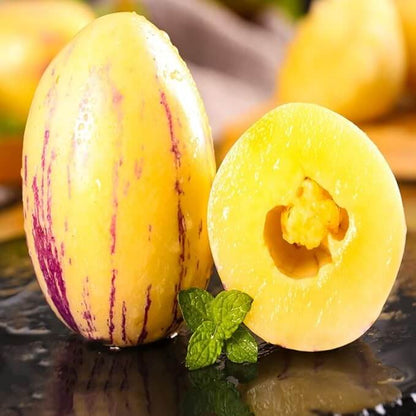 Sugar Gold Pepino Melon Seeds