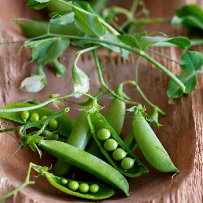 Sugar snap pea seeds - Vegetable Plant