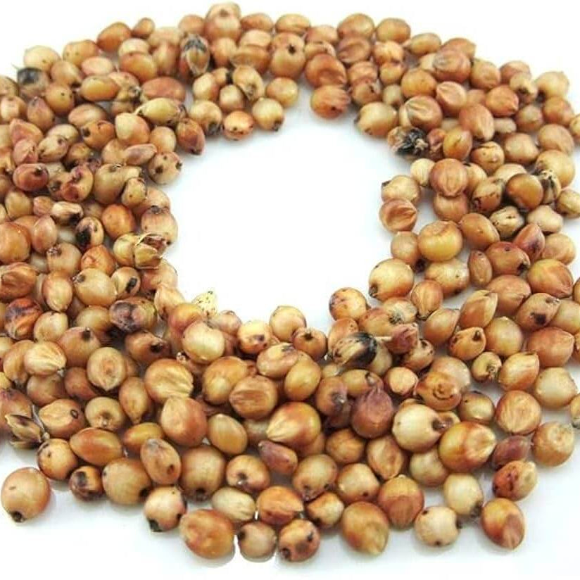 Sugarcane Seeds