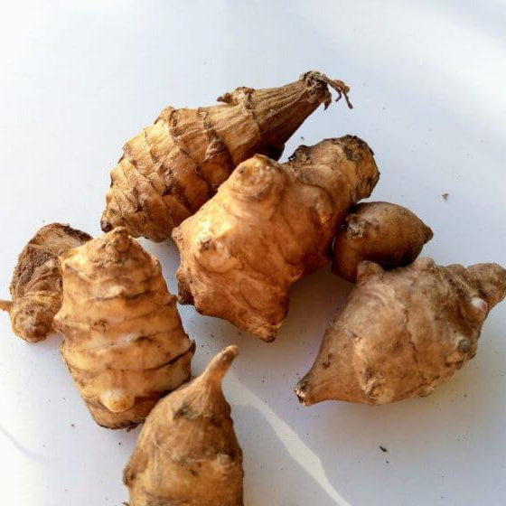 Sunchoke Tuber Seeds