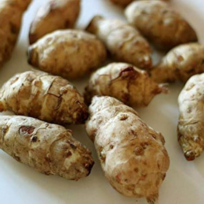 Sunchoke Tuber Seeds