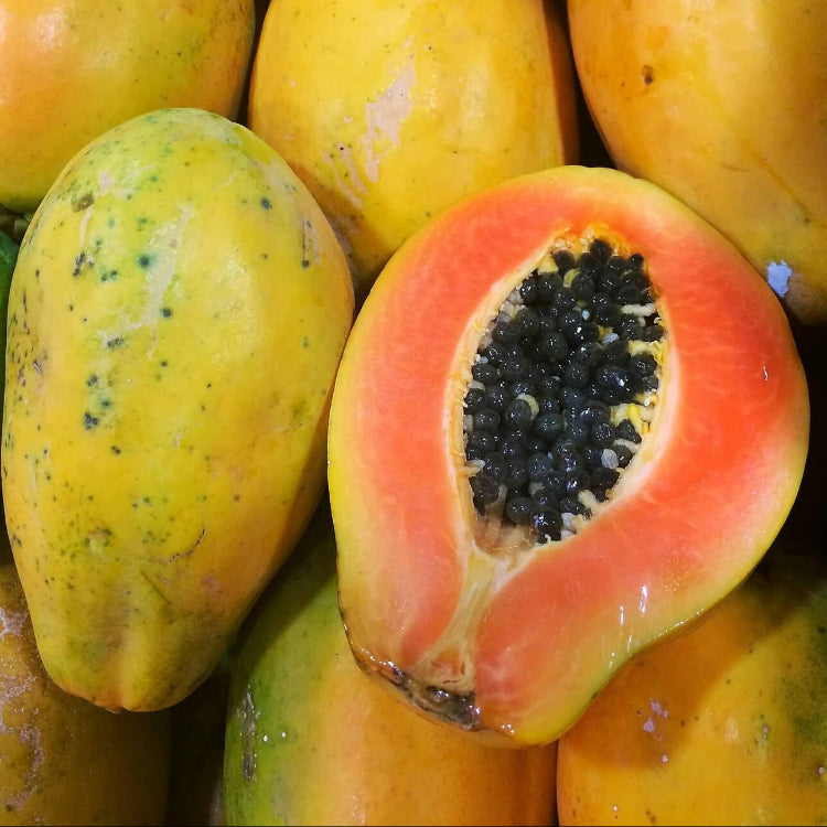  Sunrise Papaya Seeds