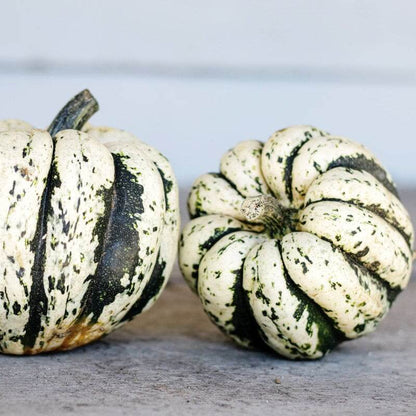 Sweet Dumpling Squash Seeds - Vegetable Plant