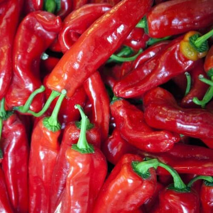 Sweet Hungarian Paprika Seeds