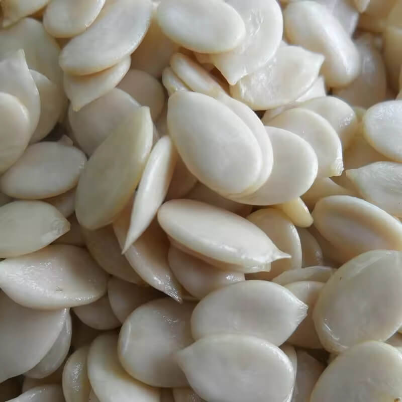 Sweet Melon Seeds 