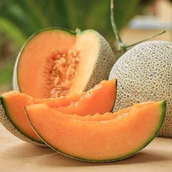 Sweet Melon Seeds 