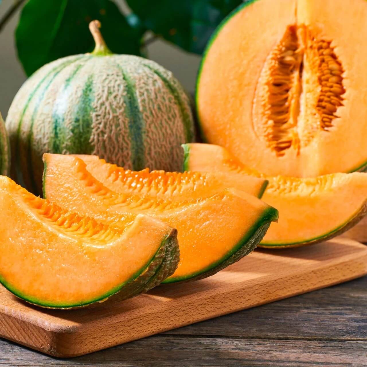 Sweet Melon Seeds 
