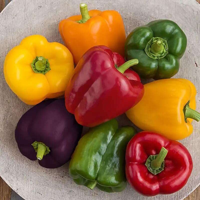 Sweet Mixed Bell Pepper Seeds