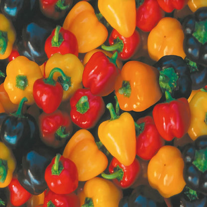 Sweet Mixed Bell Pepper Seeds