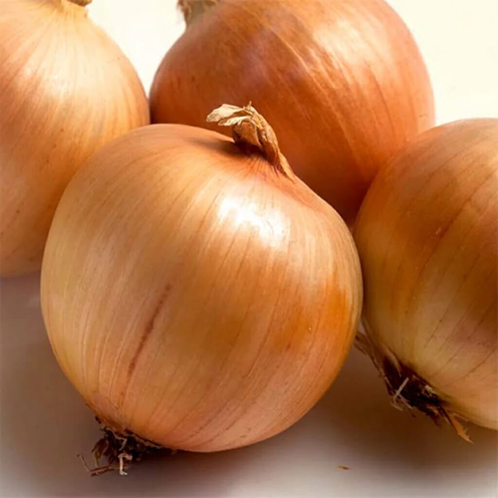 Sweet Onion Seeds 