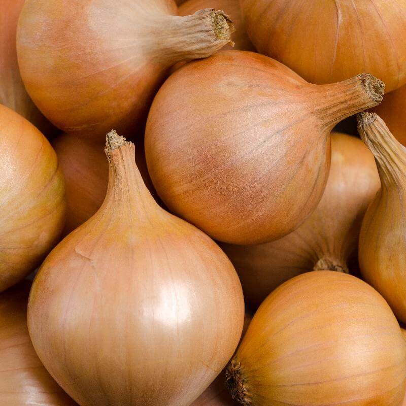 Sweet Onion Seeds 