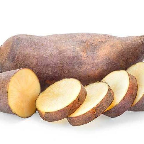 Sweet Root Yacon Seeds