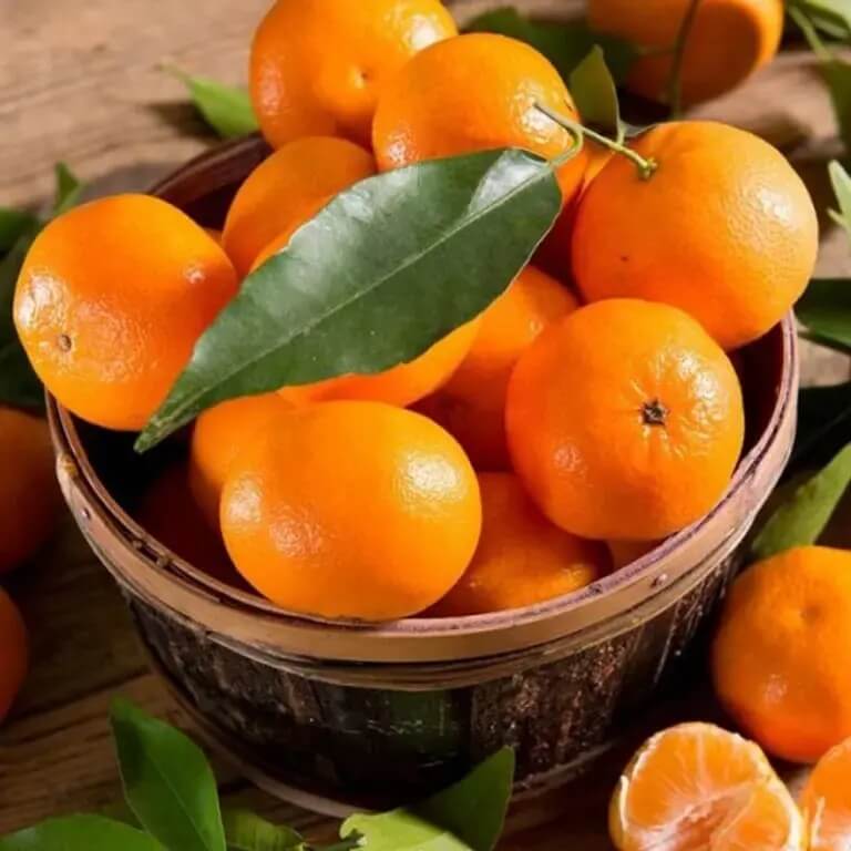 Sweet Tangerine Seeds - Fruit Plant for Home Gardens