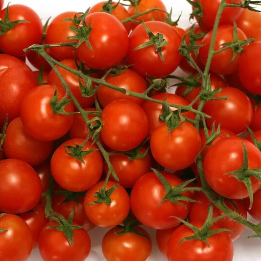 Sweet Tomato Seeds 