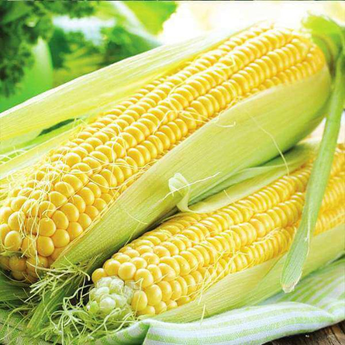 Sweet corn seeds - Vegetable Plant