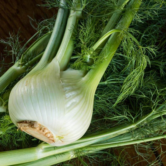 Sweet fennel seeds - Vegetable Plant