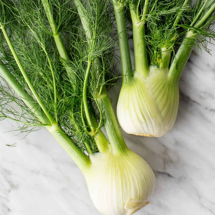 Sweet fennel seeds - Vegetable Plant