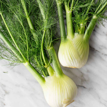Sweet fennel seeds - Vegetable Plant