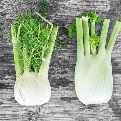 Sweet fennel seeds - Vegetable Plant