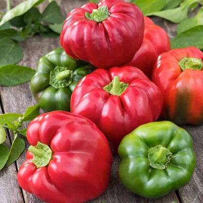 Sweet pepper seeds - Vegetable Plant