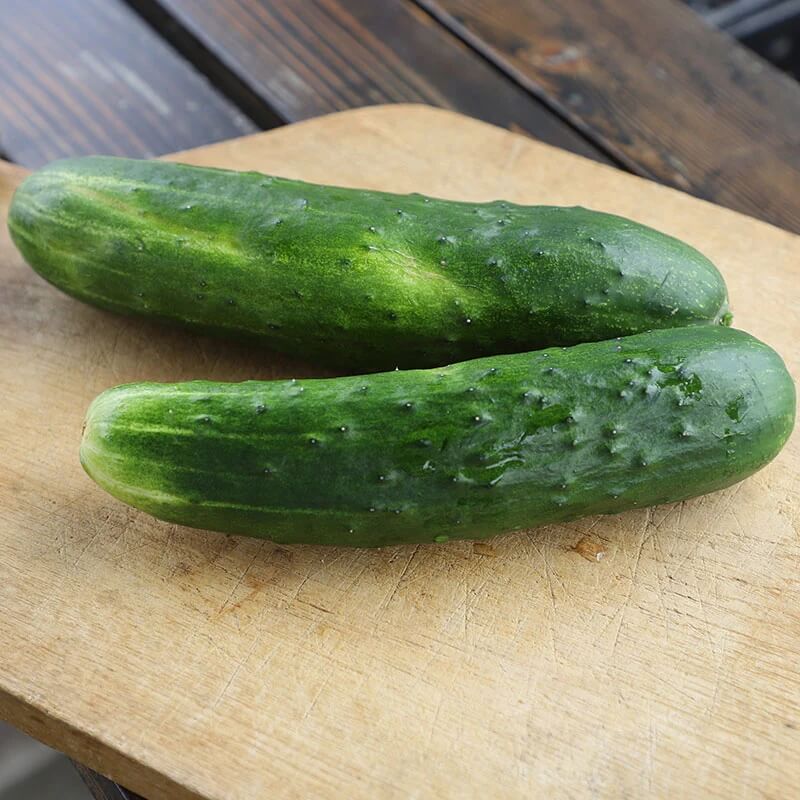 Sweet slice cucumber seeds - Vegetable Plant