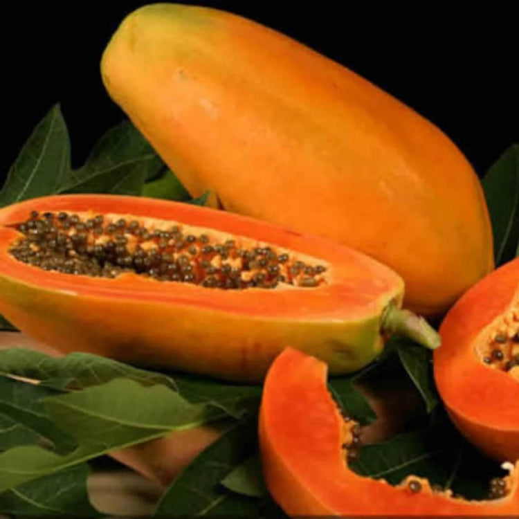 Taiwan Red Lady Papaya Seeds 