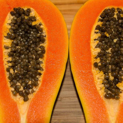 Taiwan Red Lady Papaya Seeds 