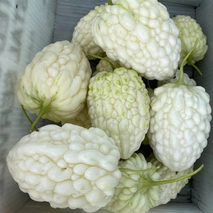 Taiwanese Bitter Melon Seeds