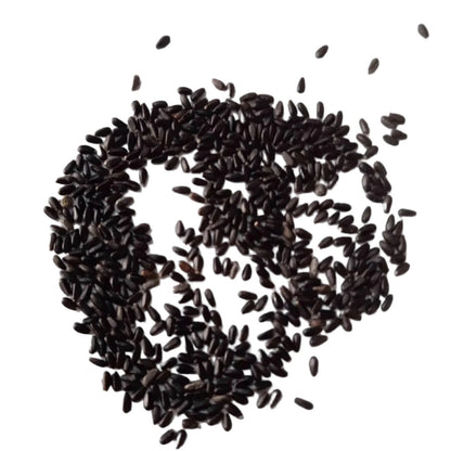 Tall Aromatic Lemongrass Seeds 