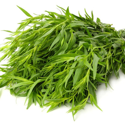 Tarragon Seeds - Herbal Plant