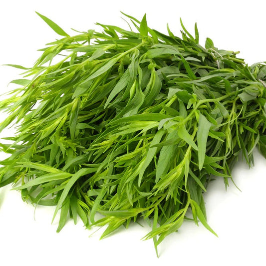 Tarragon Seeds - Herbal Plant