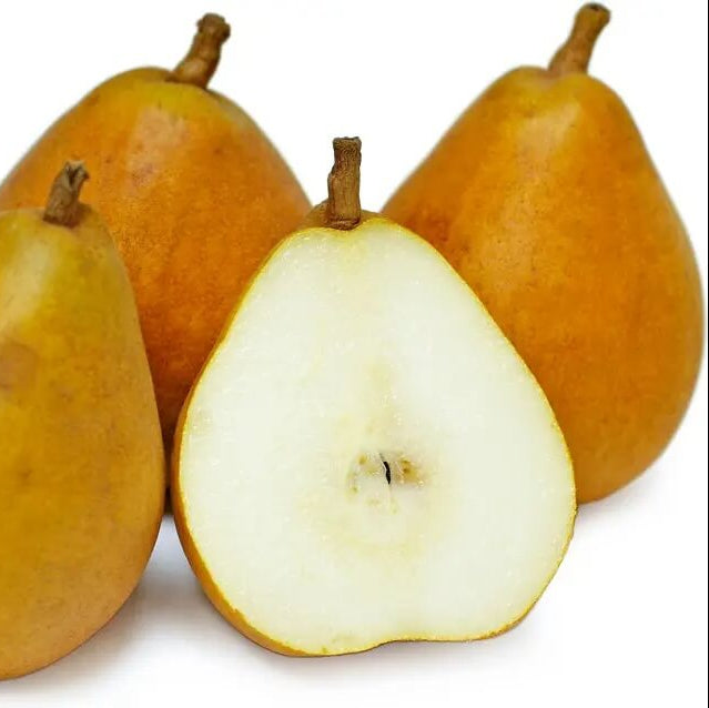 Taylor’s Gold Pear Seeds 